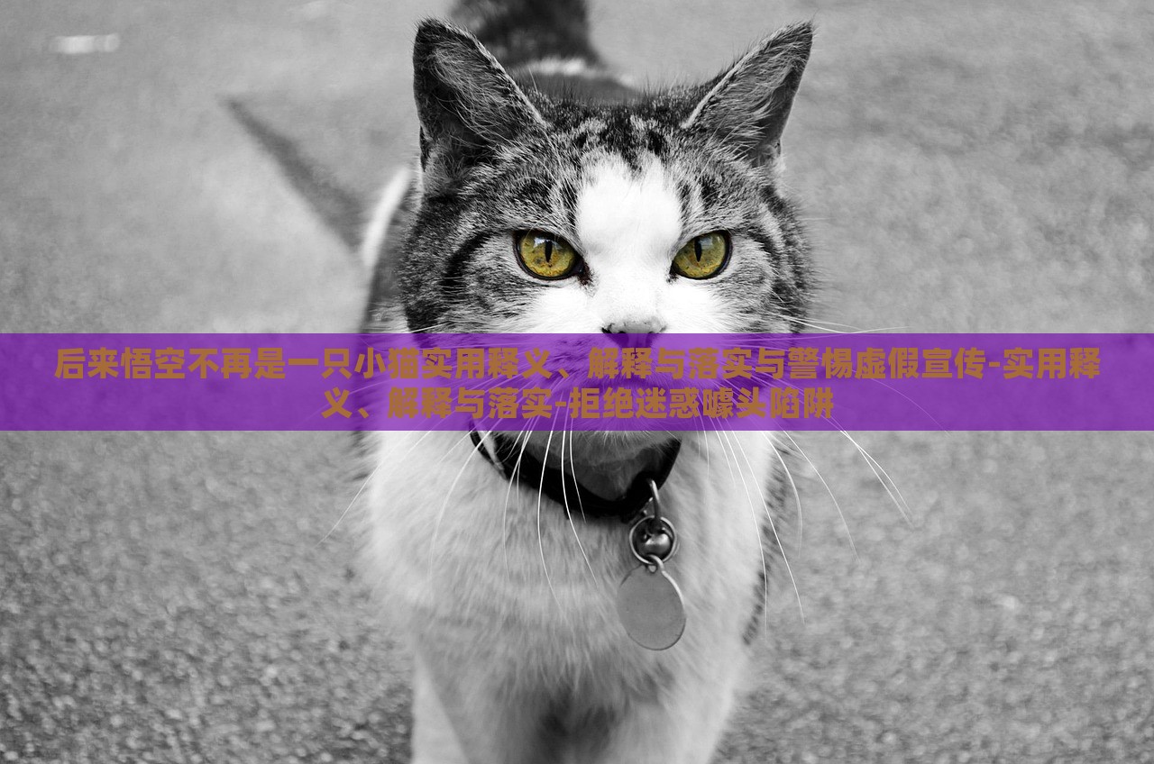 后来悟空不再是一只小猫实用释义、解释与落实与蔬菜、花卉、温室大棚技术的咨询警惕虚假宣传-实用释义、解释与落实-拒绝迷惑噱头陷阱