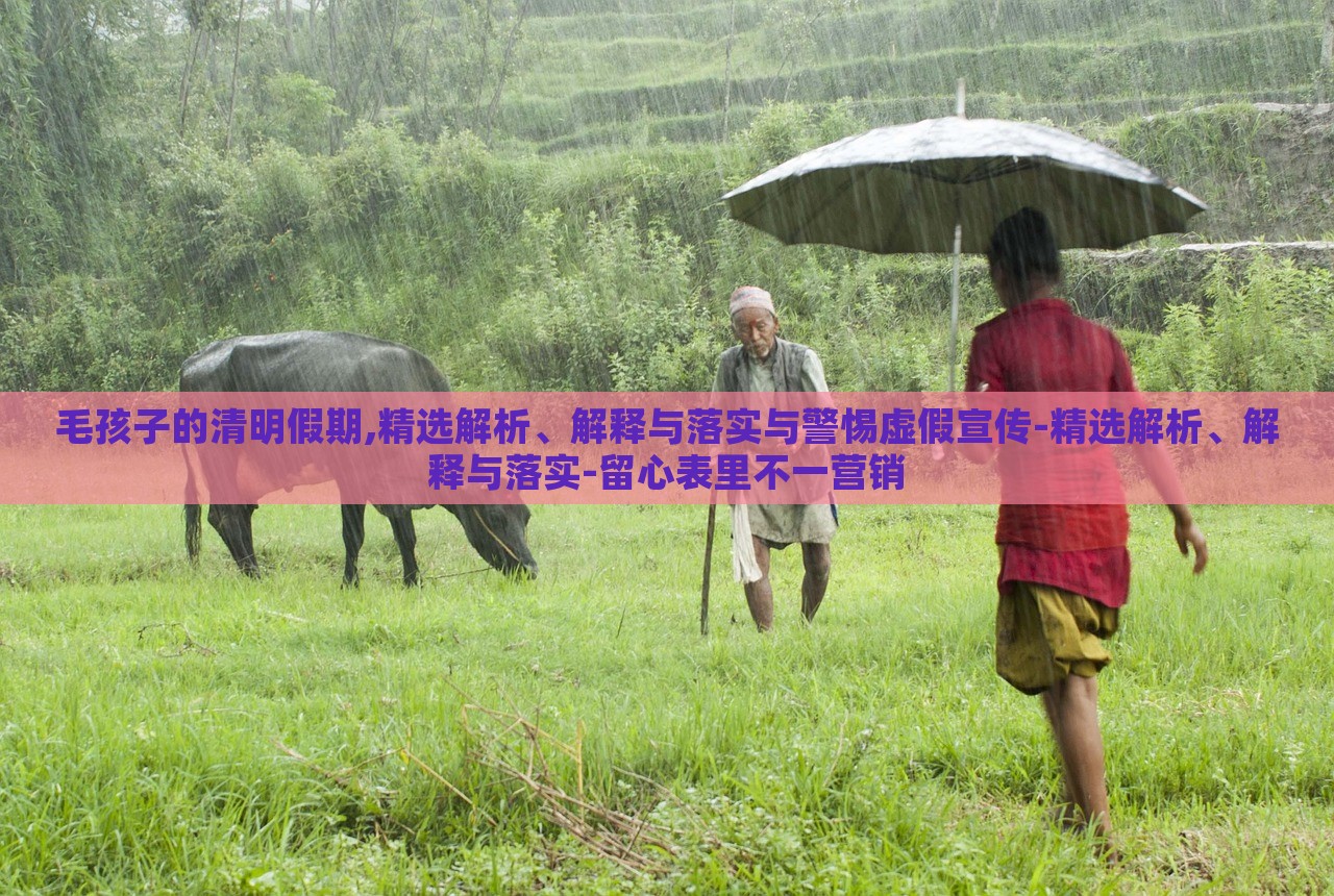 毛孩子的清明假期,精选解析、解释与落实与警惕虚假宣传-精选解析、解释与落实-留心表里不一营销蔬菜、花卉、温室大棚技术的咨询